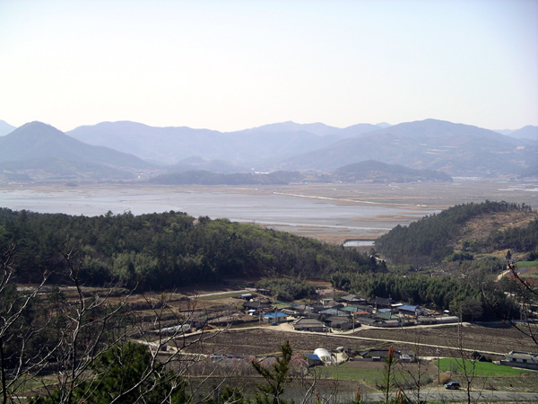 고조할머니 산소에서 내려다 본 고향마을 모습. 마을뒤로 갈대밭과 에스자형 수로와 낙조사진으로 유명한 순천만이 한눈에.. 